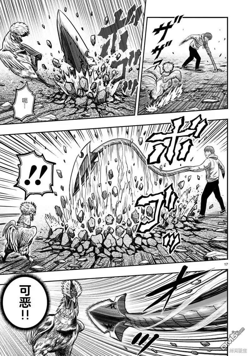 第17页