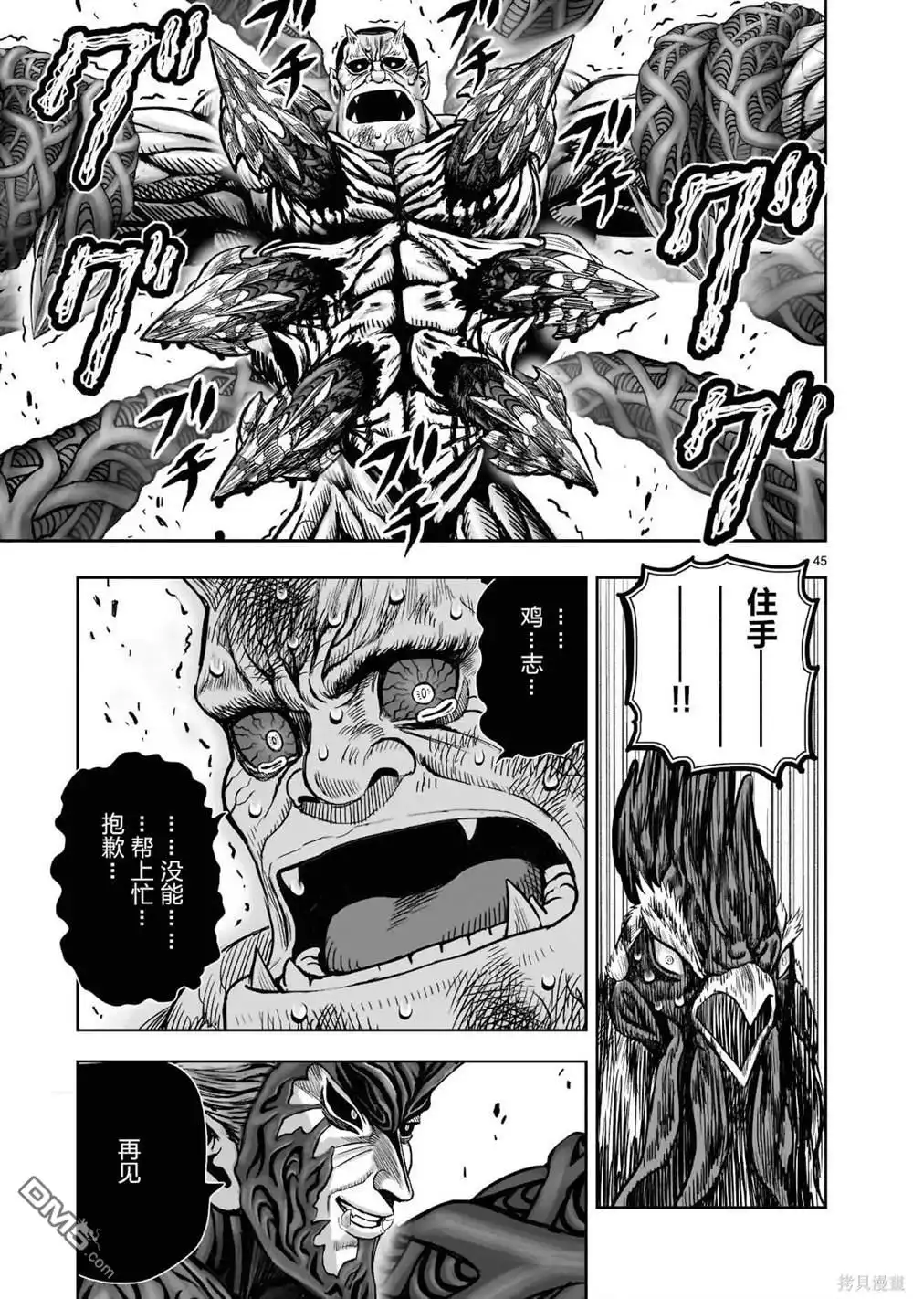第45页