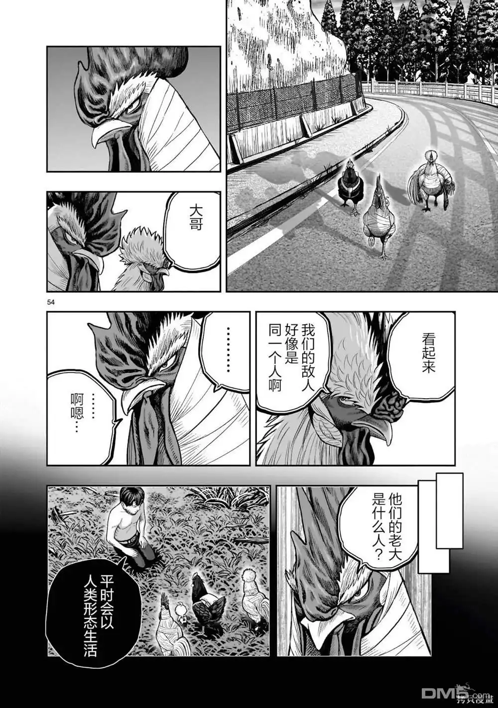 第55页