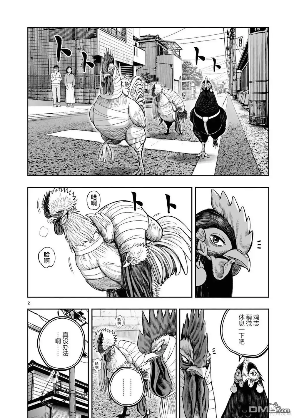 第3页