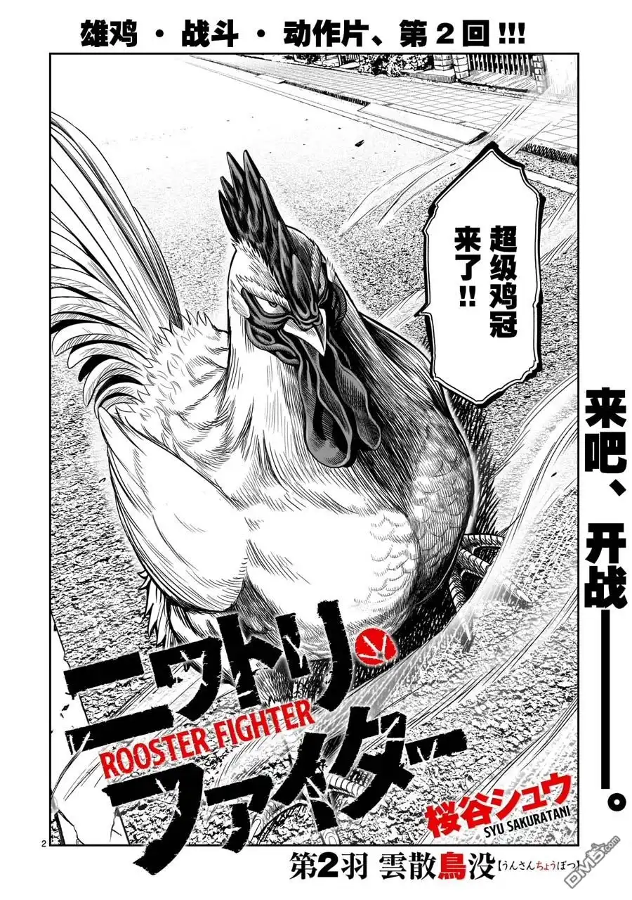 第2页