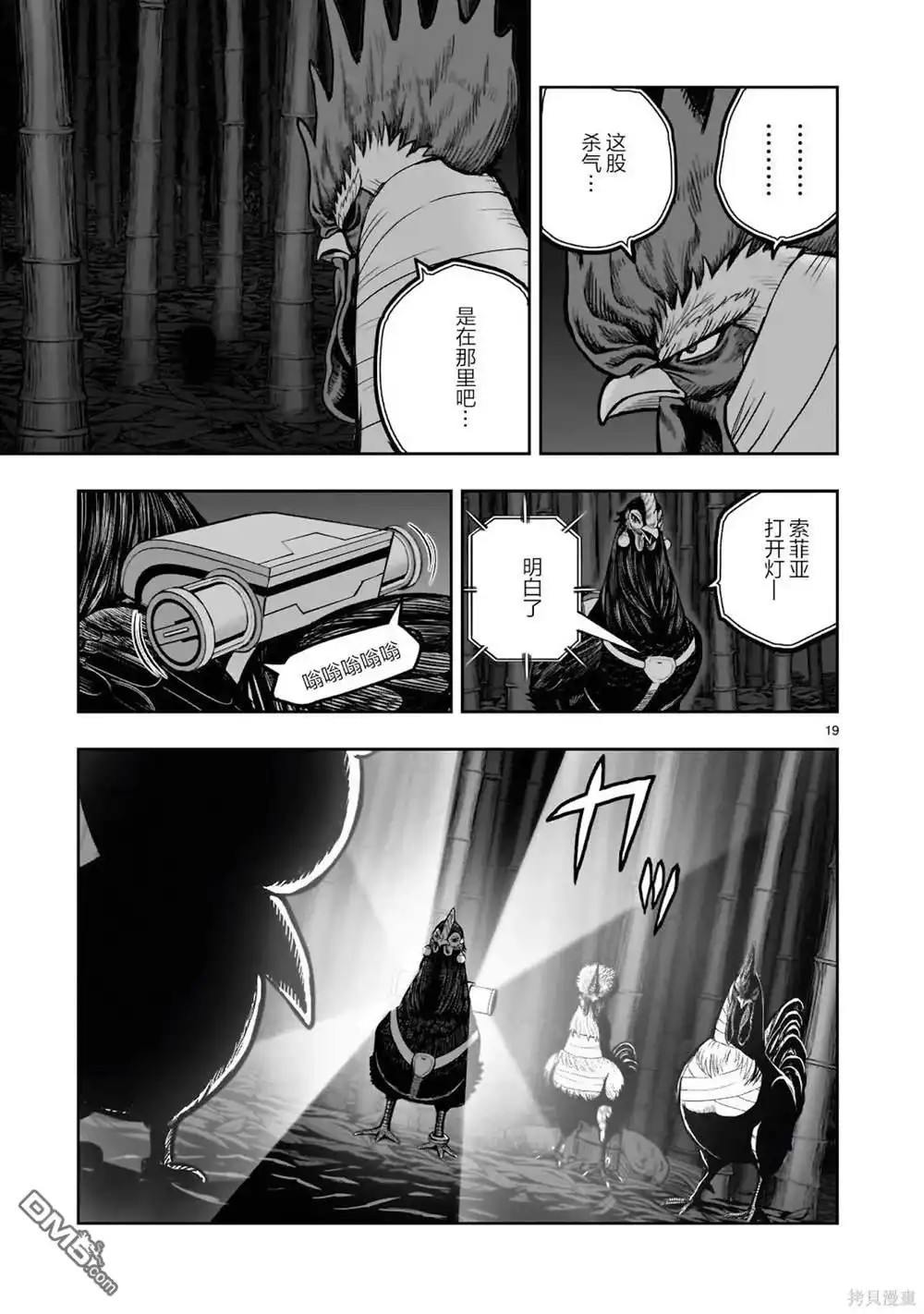 第20页