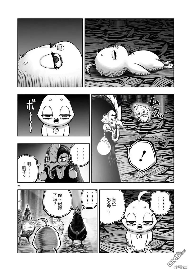 第20页