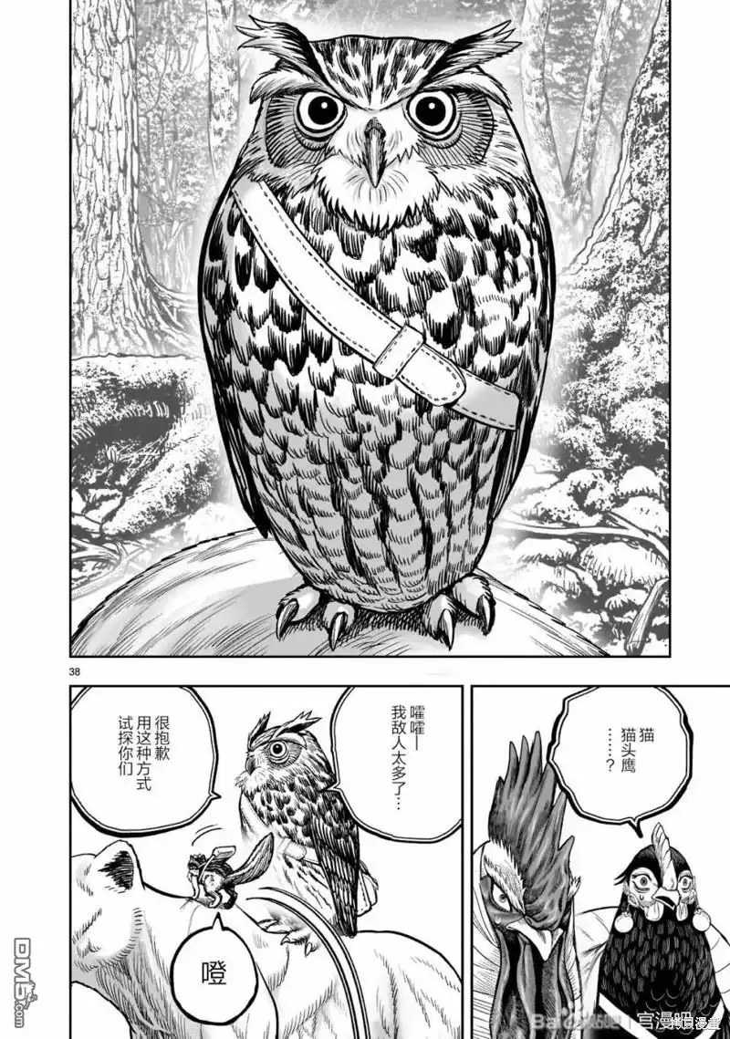 第39页