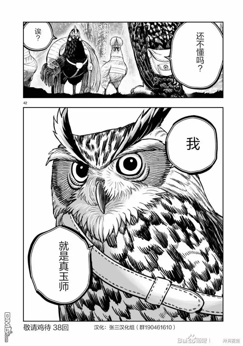 第43页