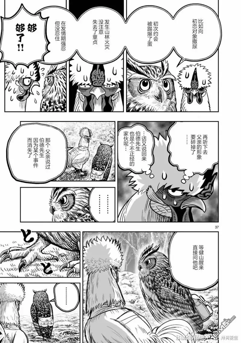 第38页