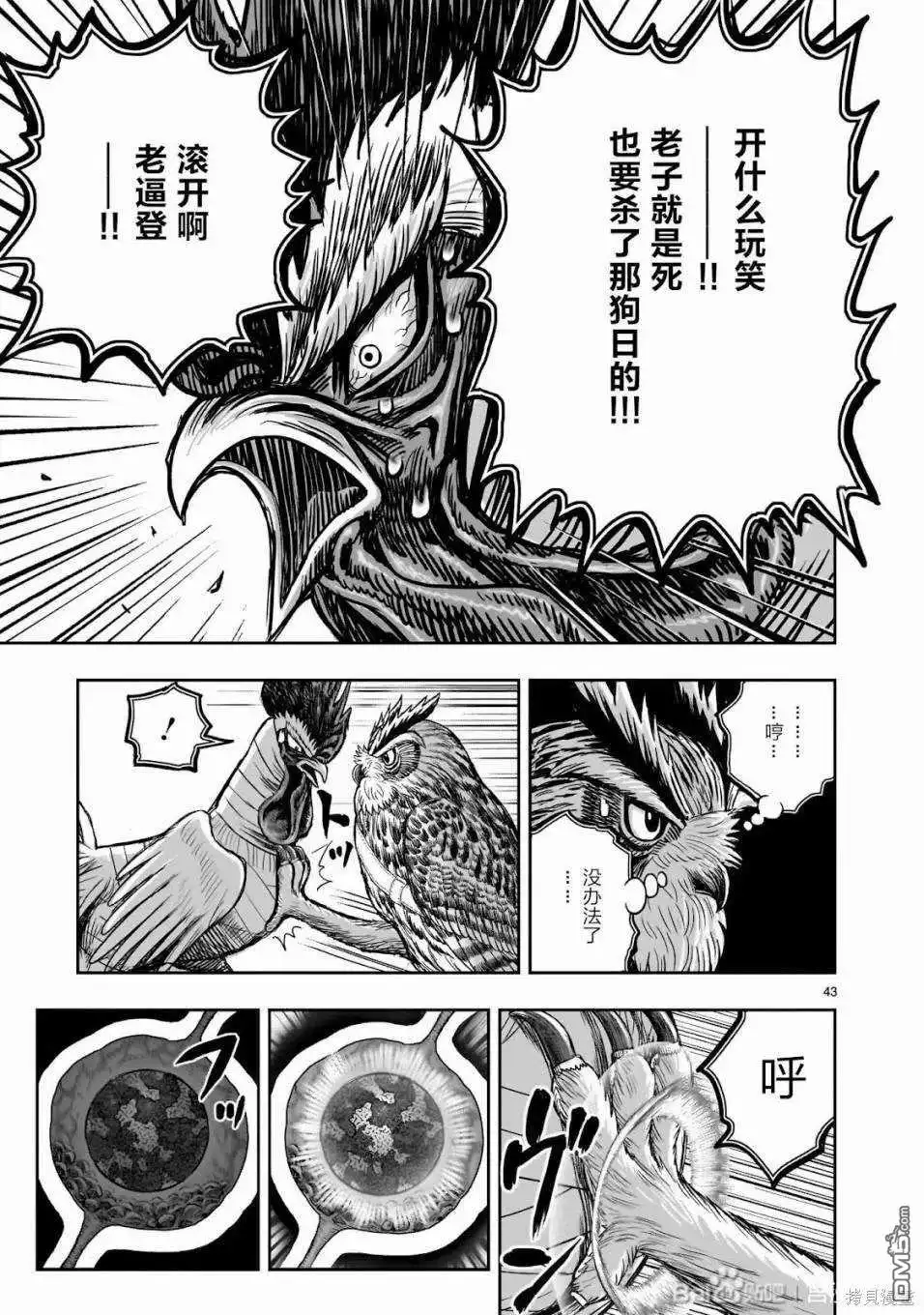 第44页
