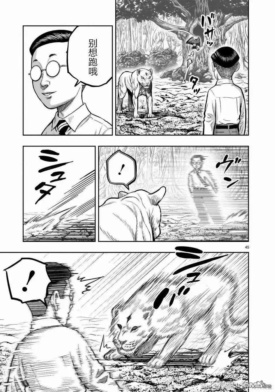 第46页