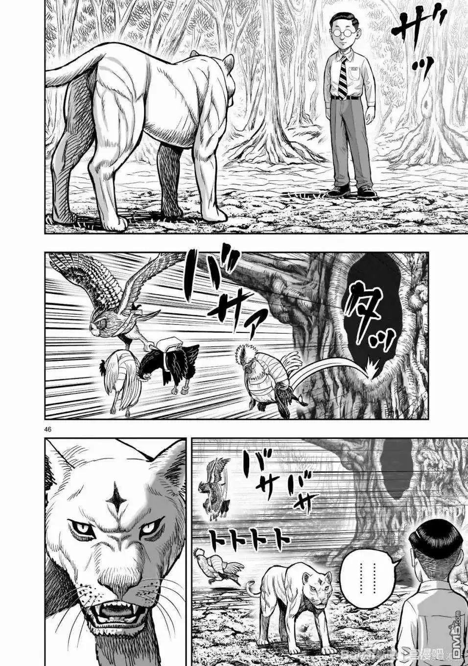 第47页