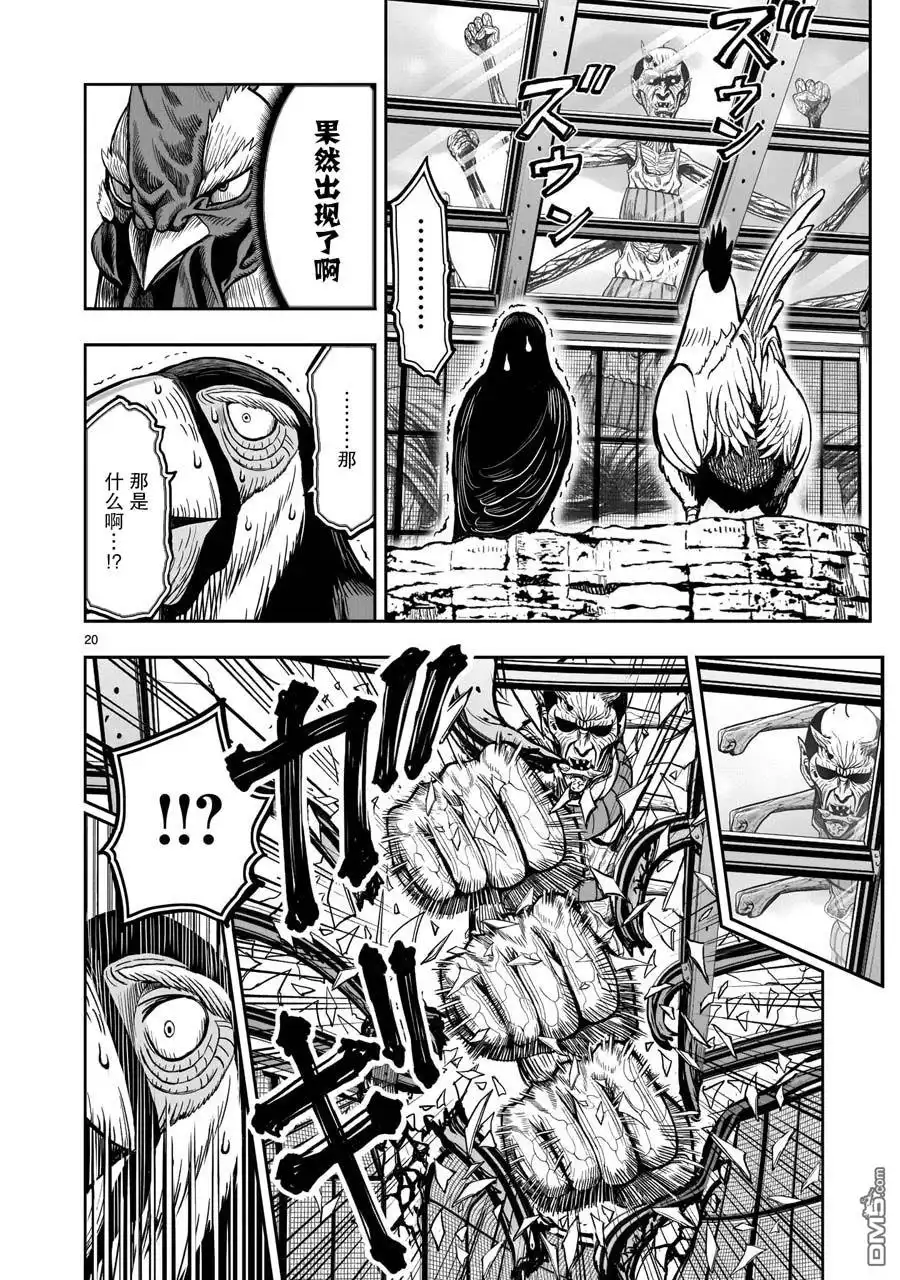第20页