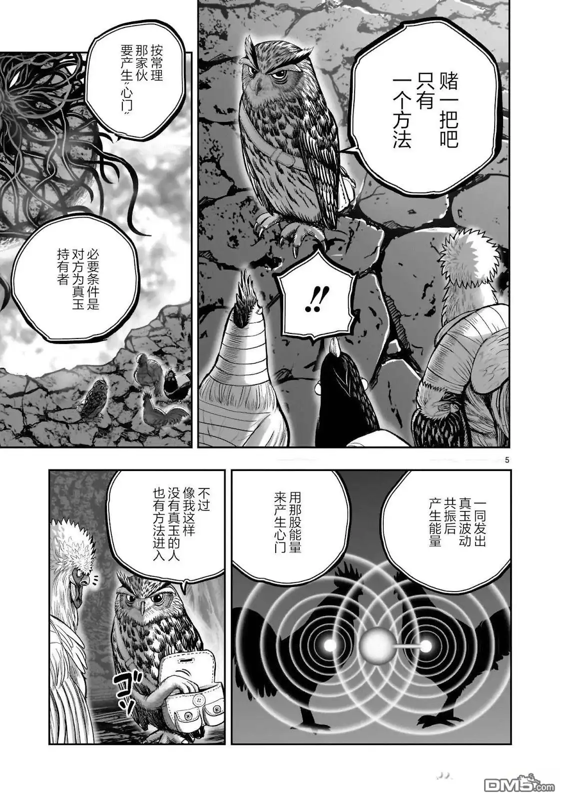 第5页