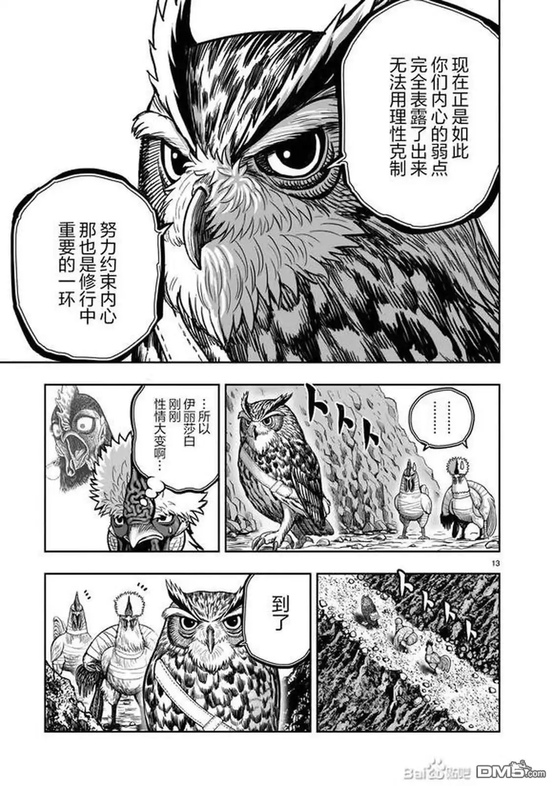 第13页