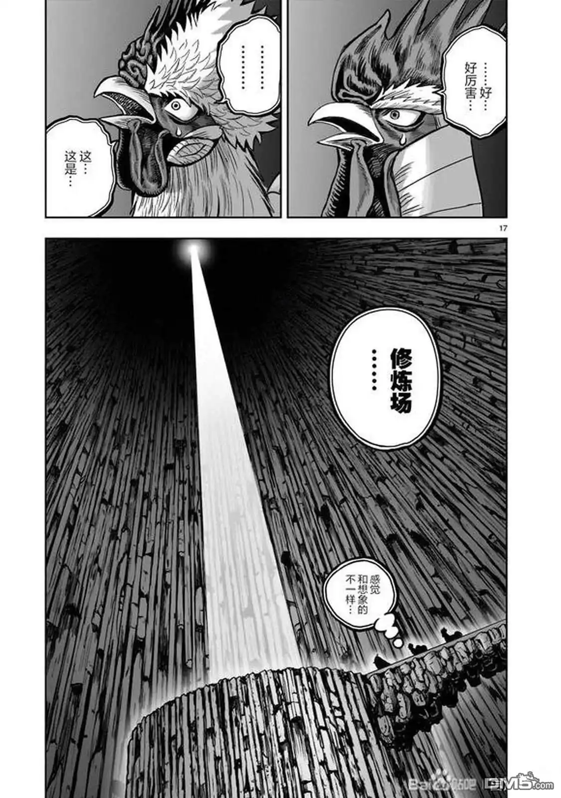 第17页