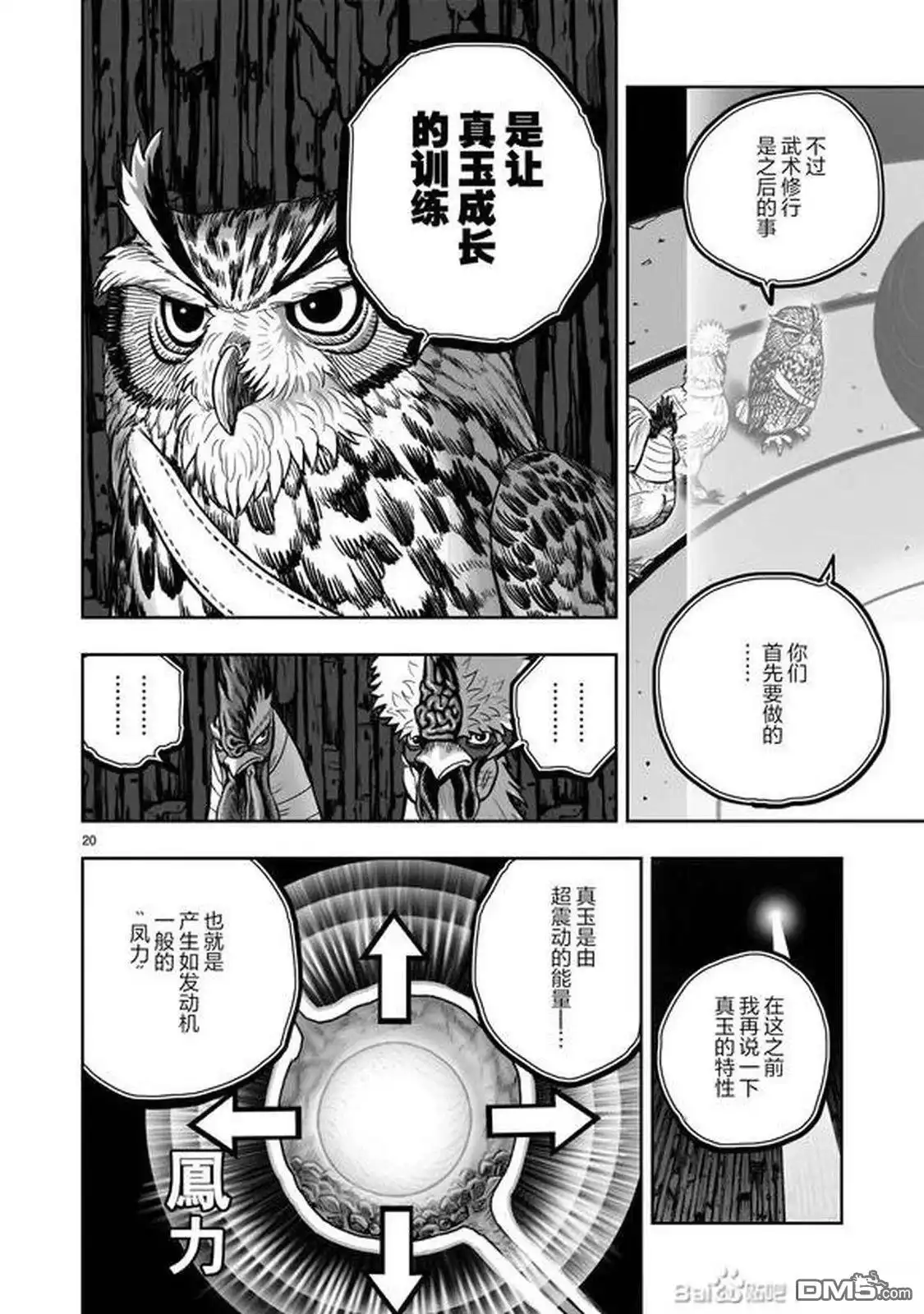 第20页