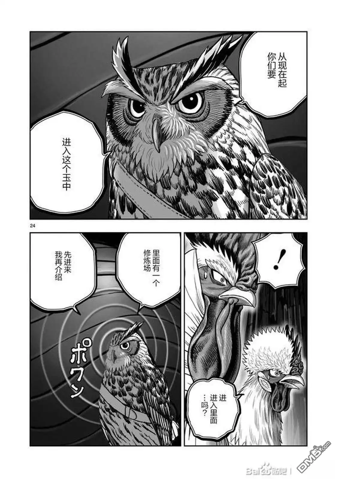 第24页