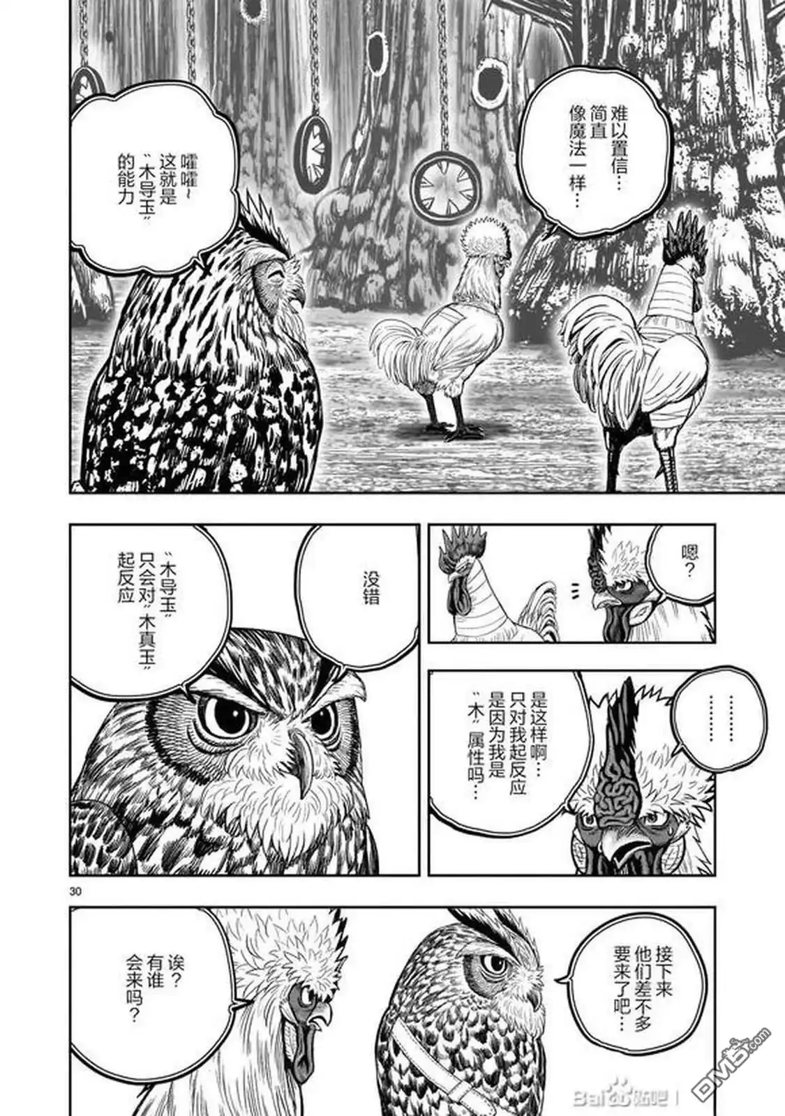 第30页