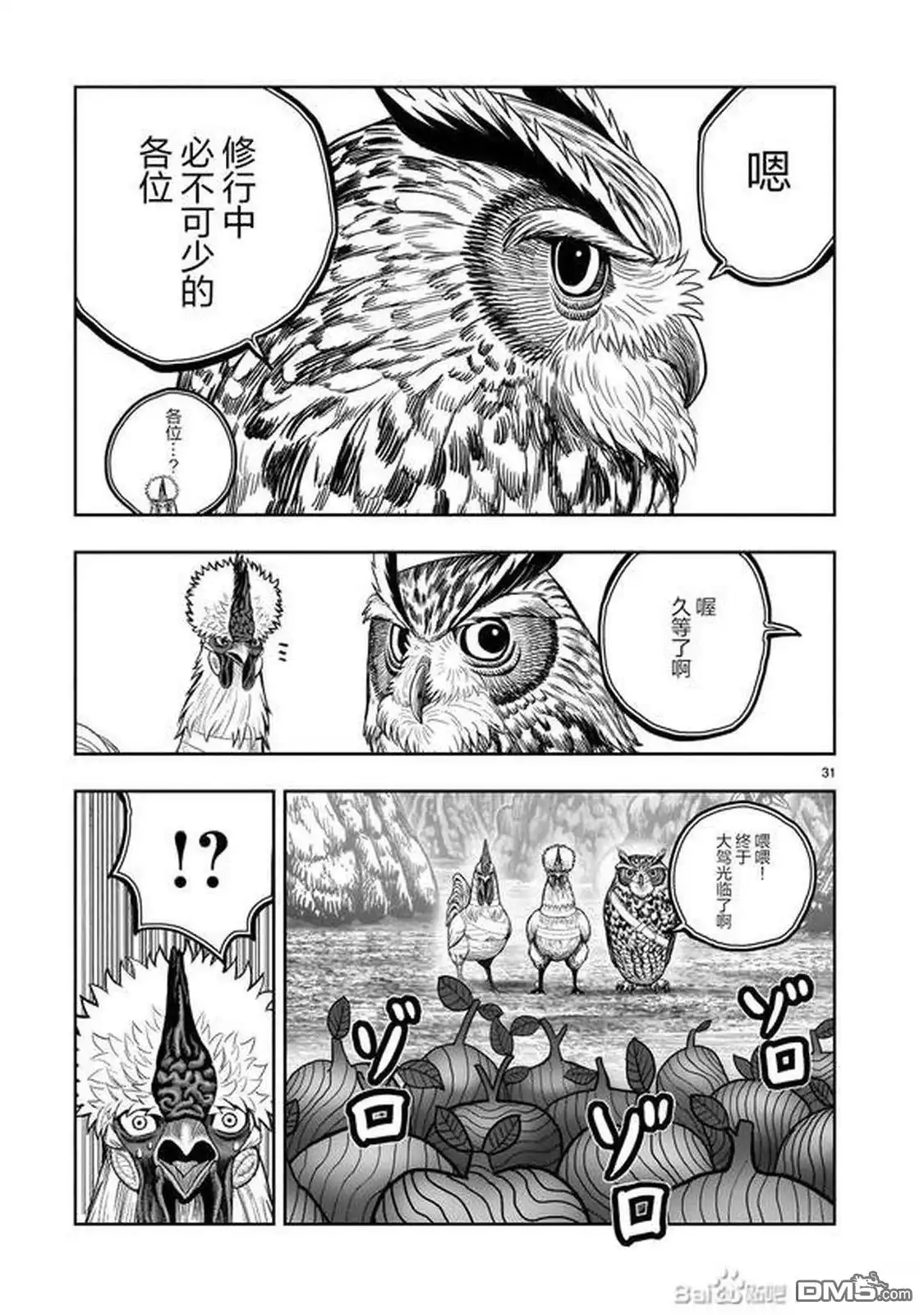 第31页