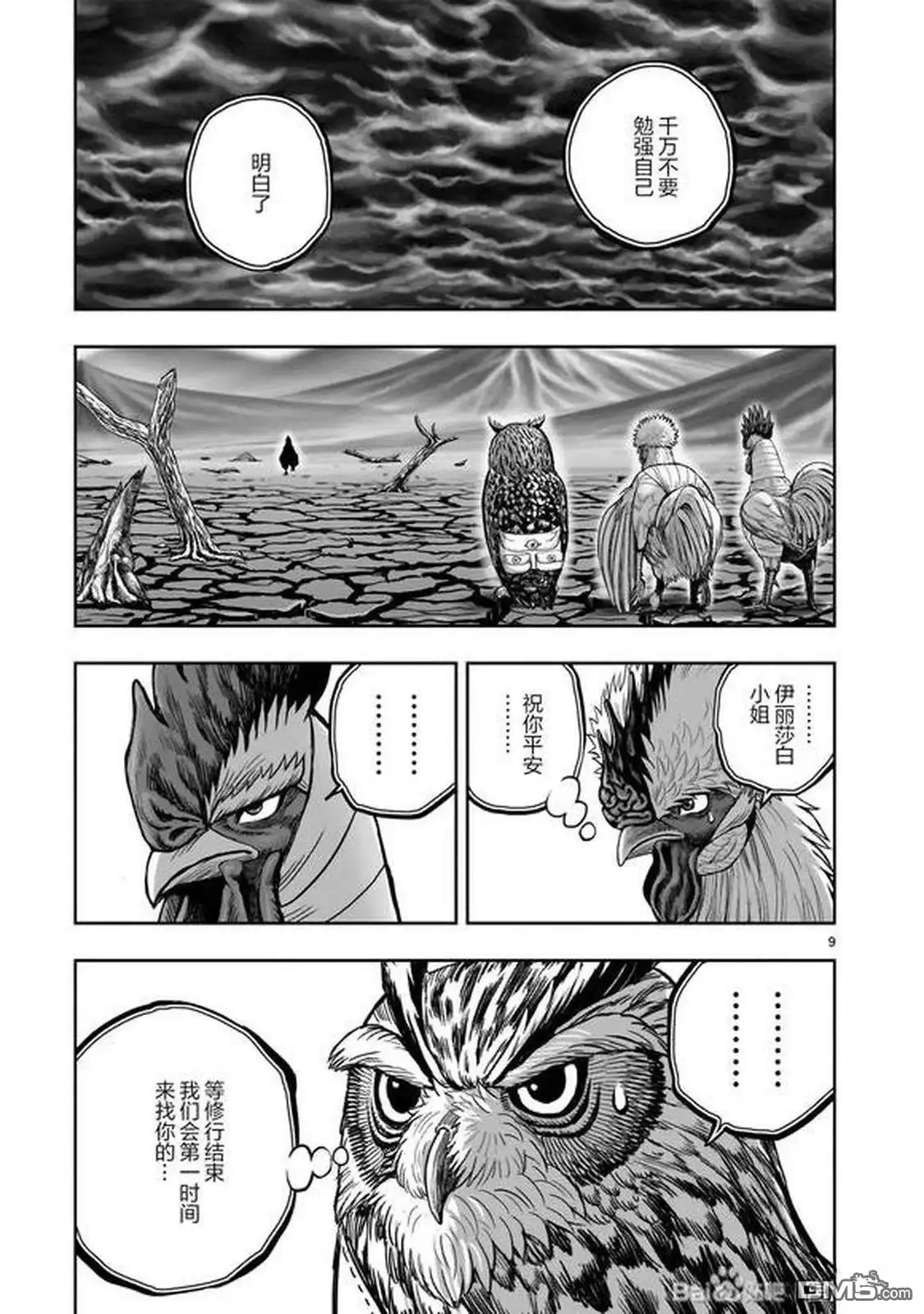 第9页