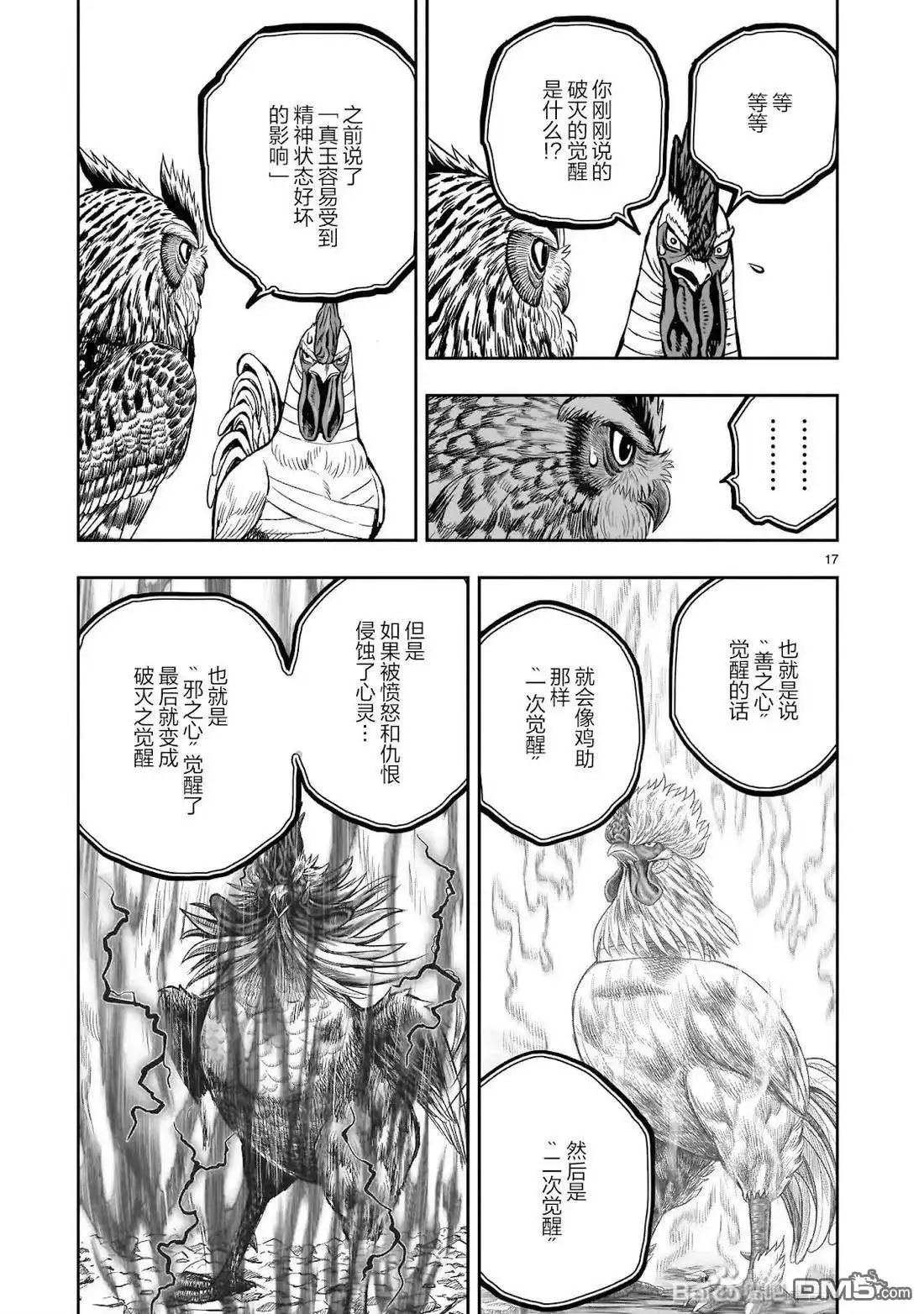 第17页