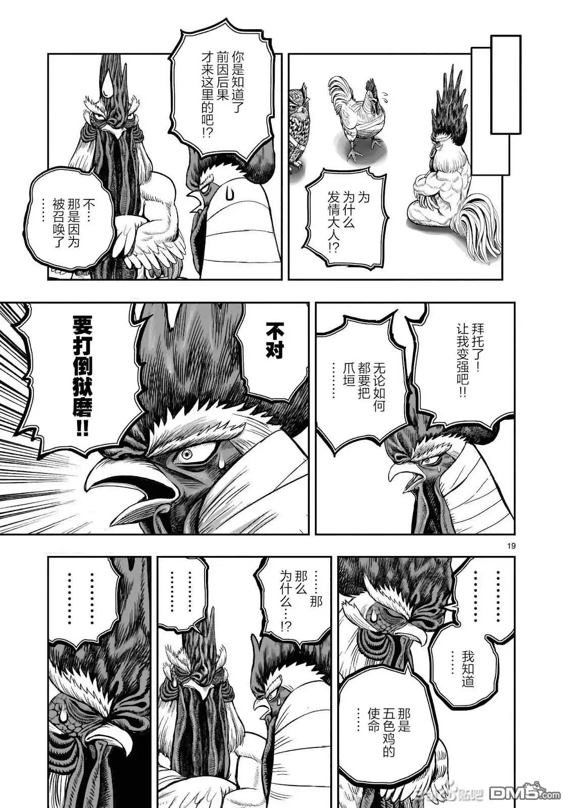 第19页