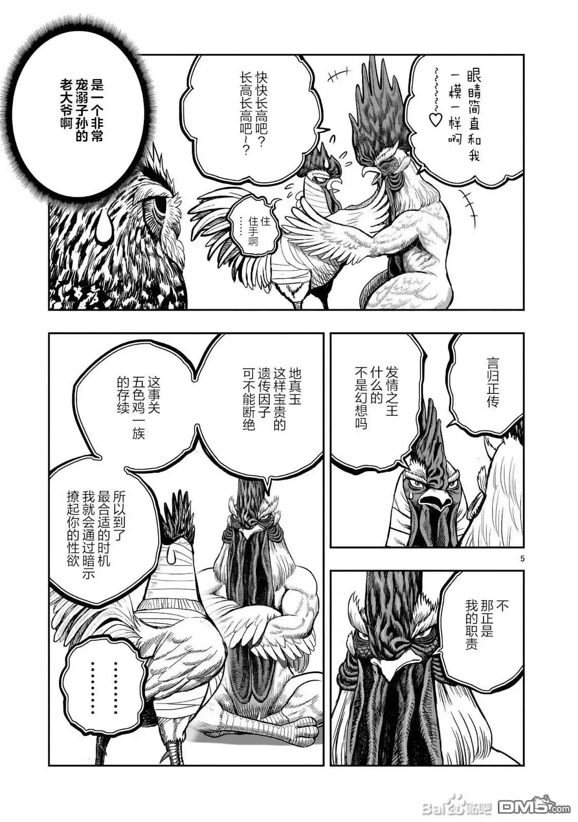 第5页