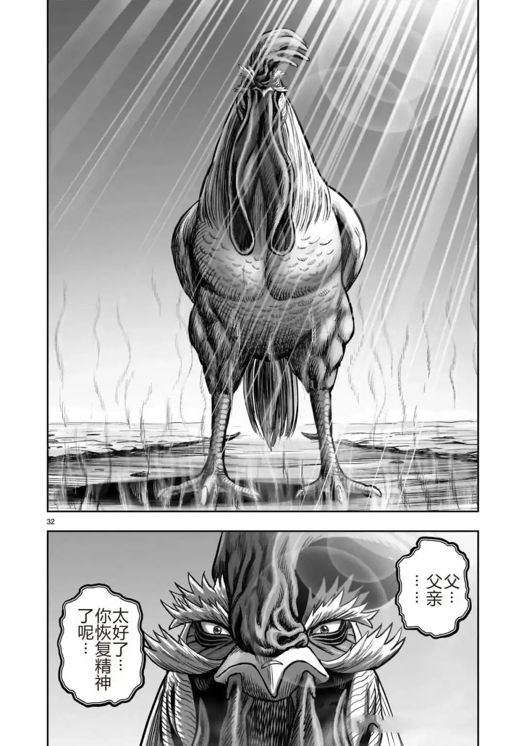 第32页