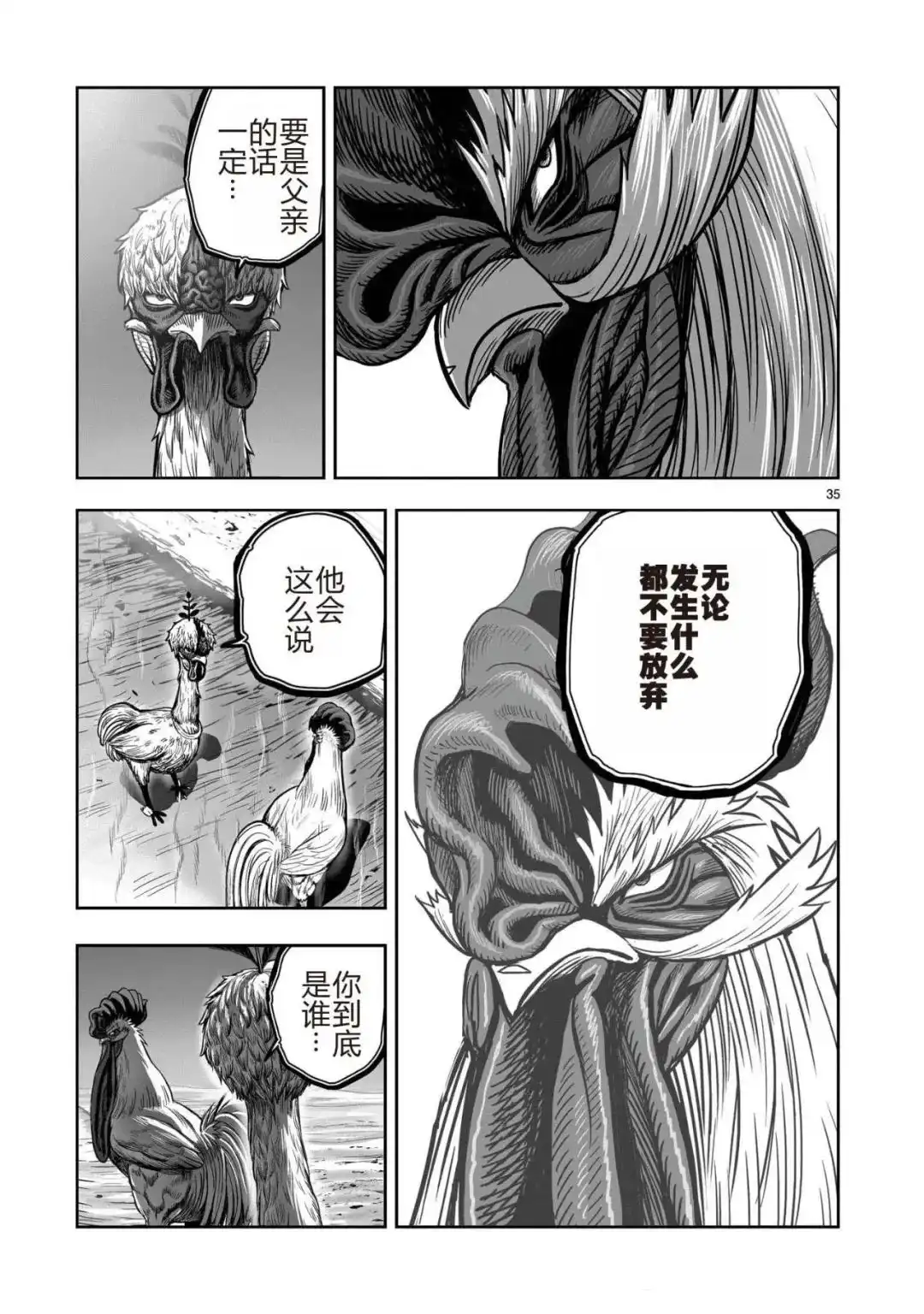 第35页