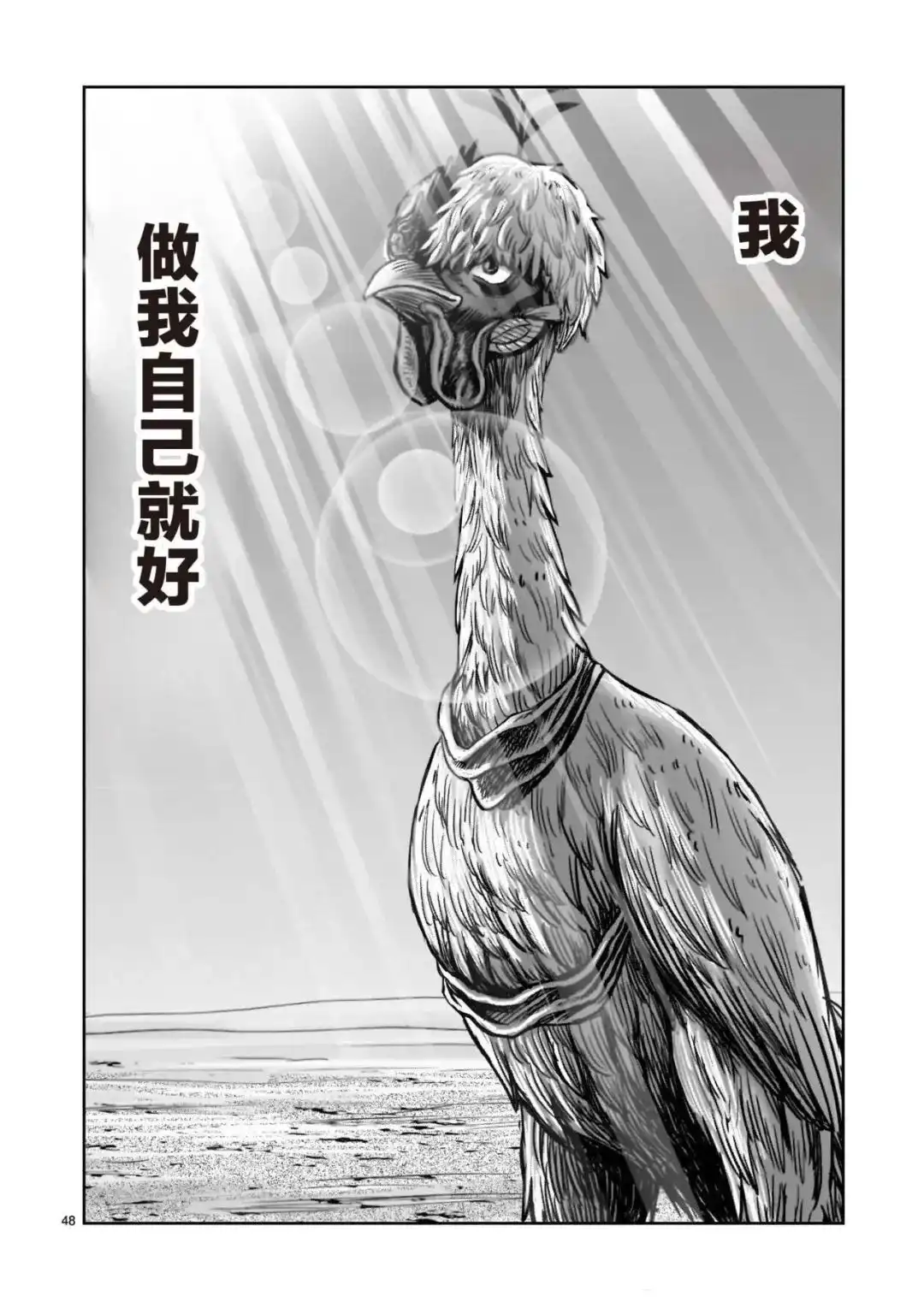 第48页