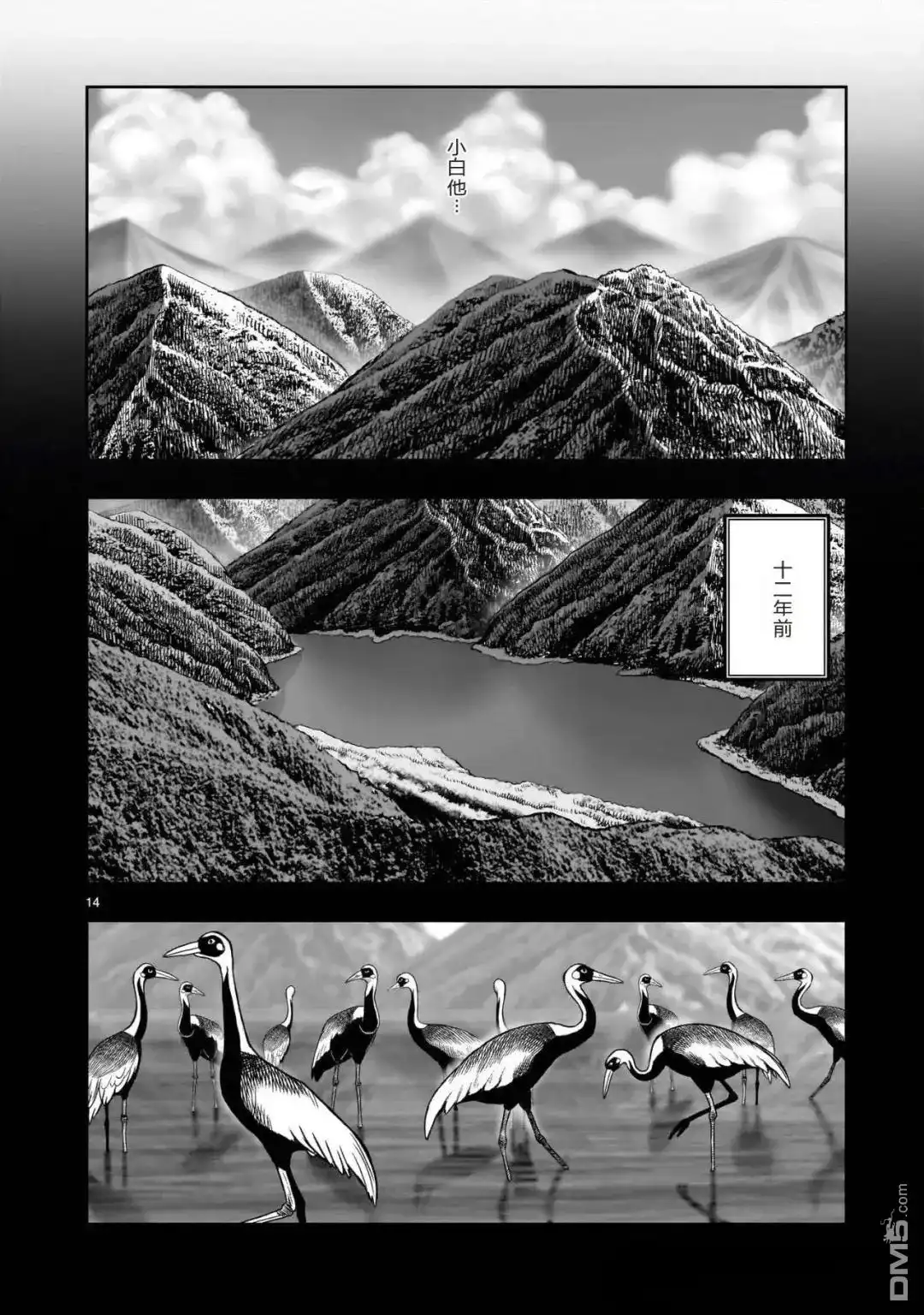 第14页