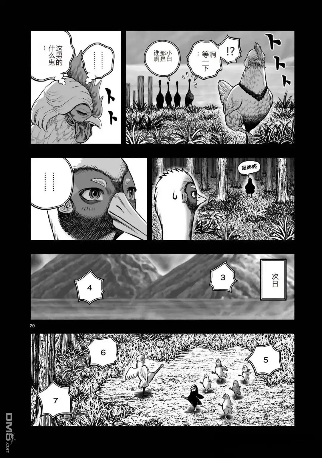 第20页