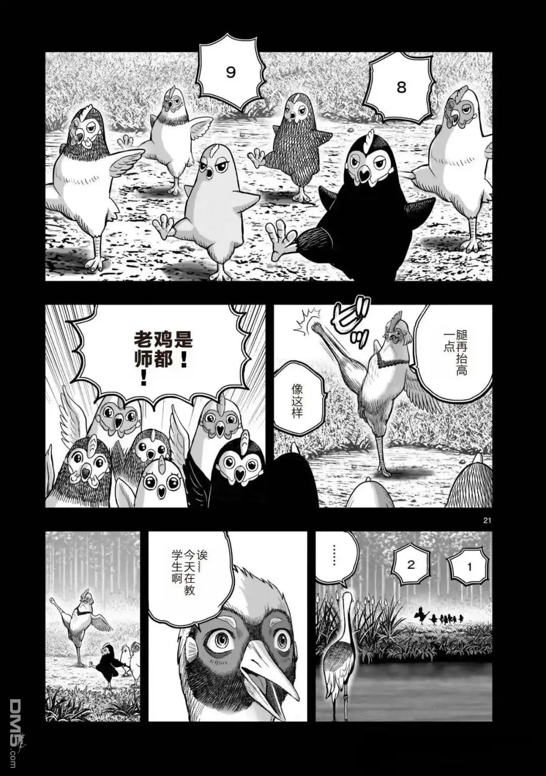 第21页