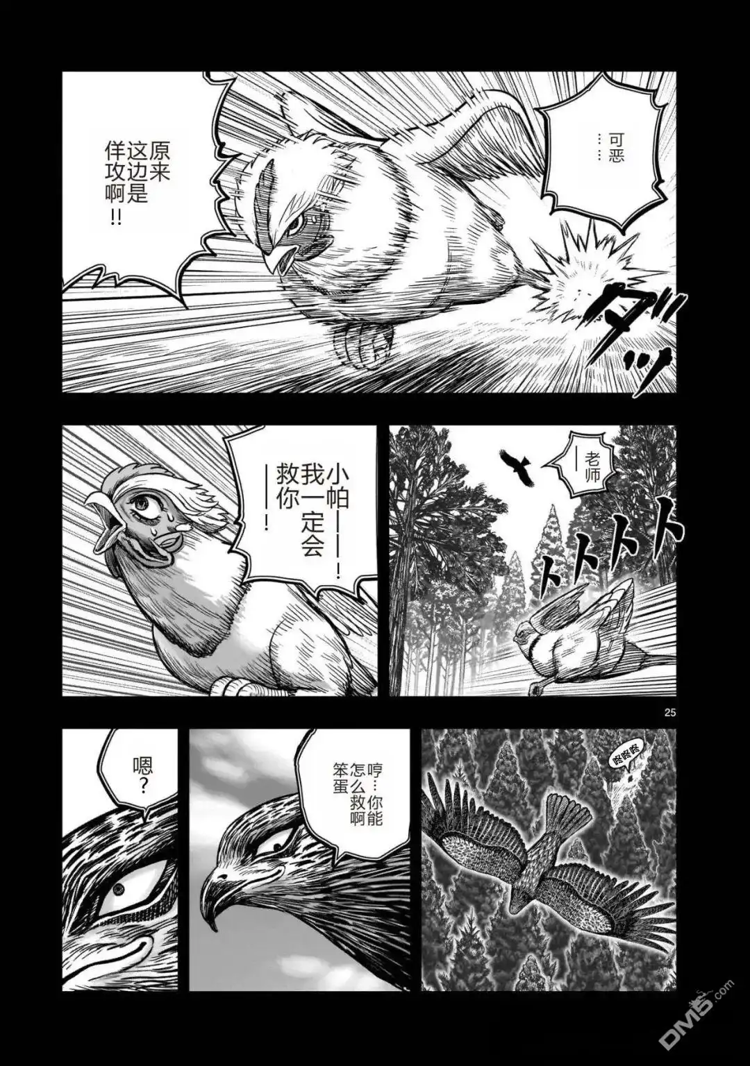 第25页
