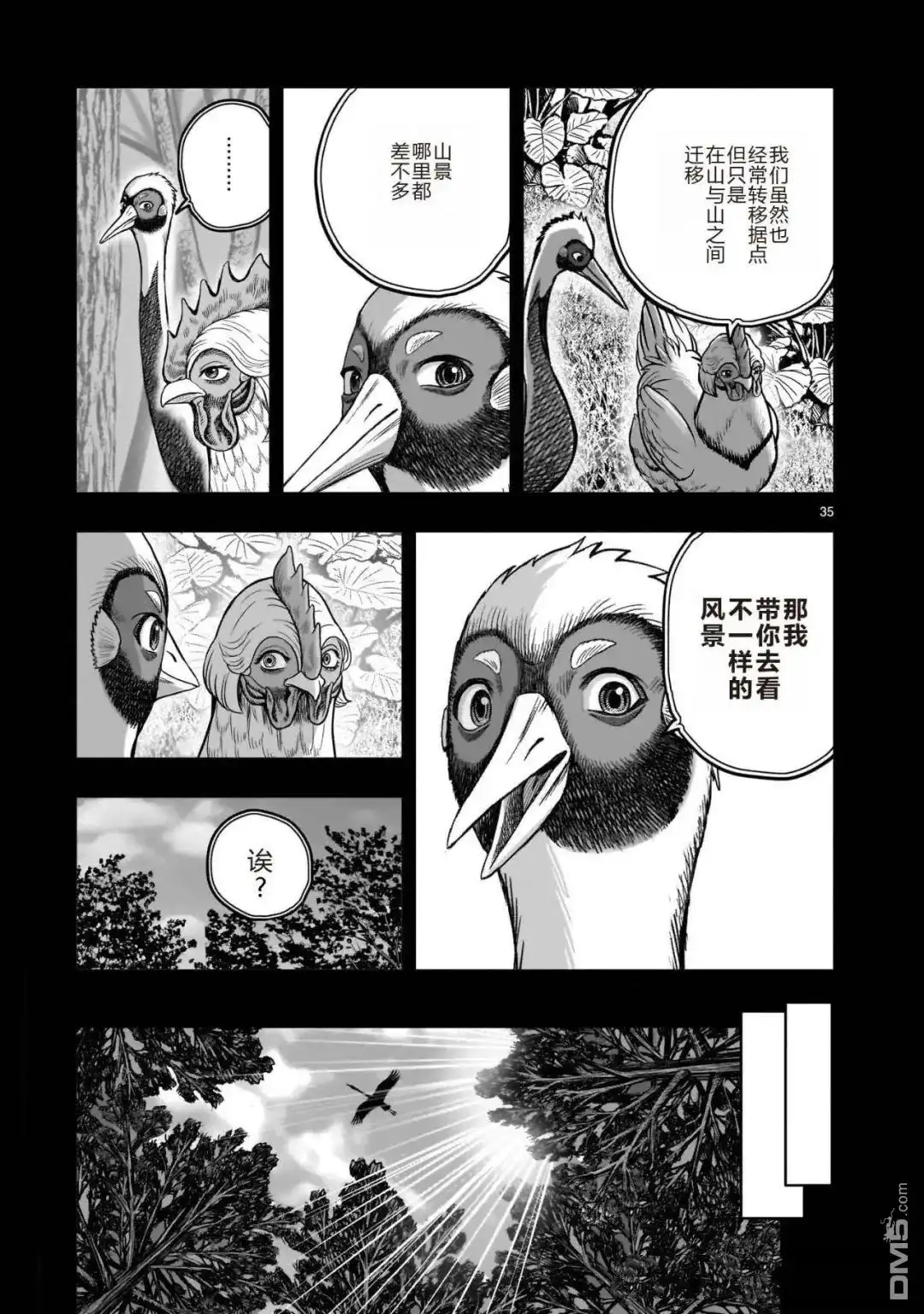 第35页