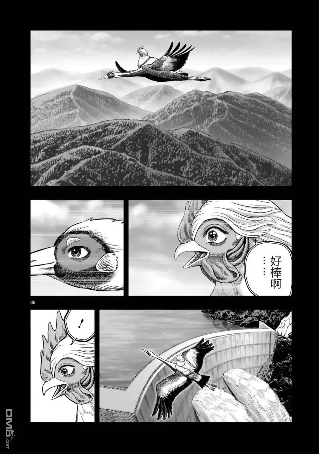 第36页