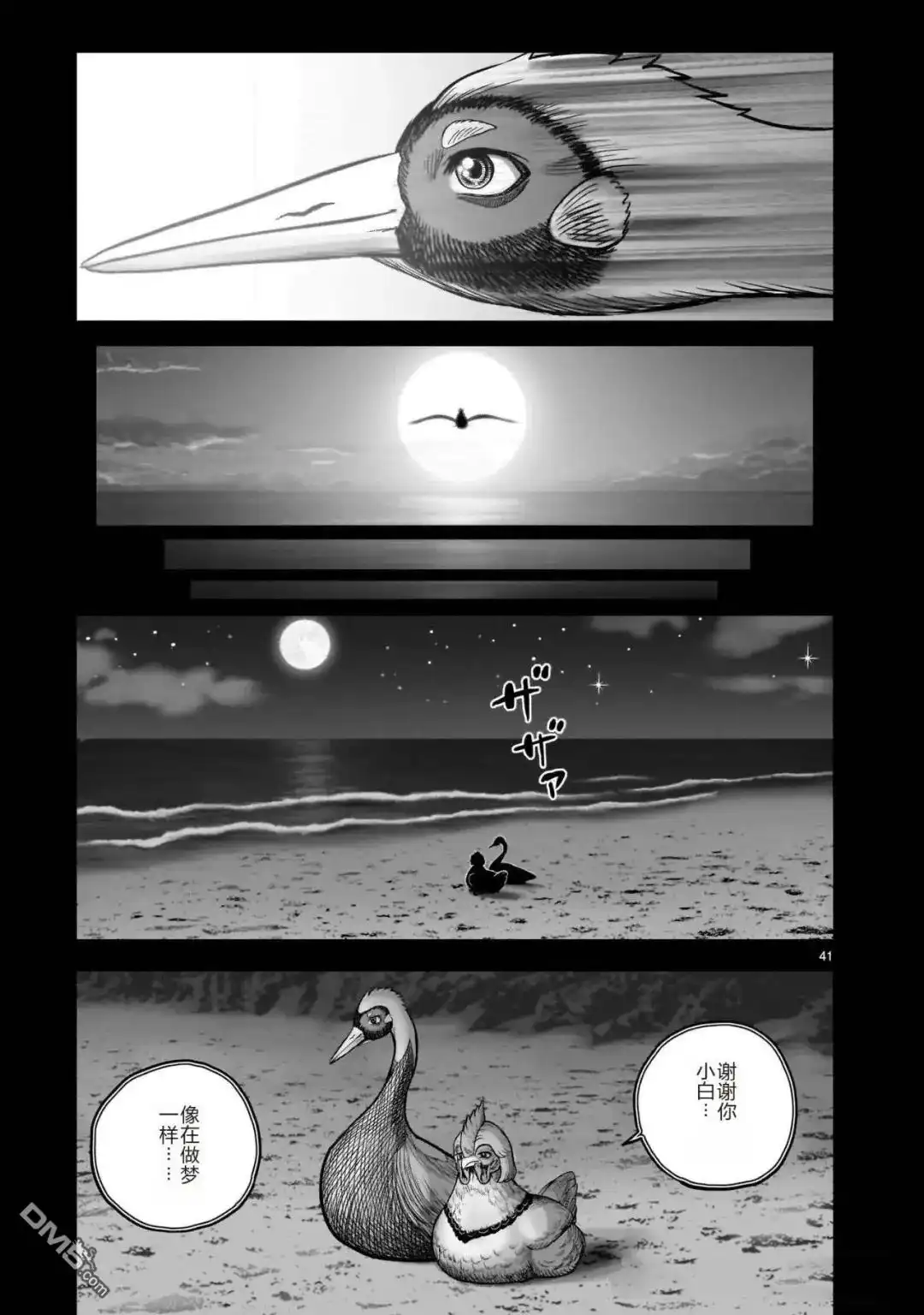 第41页