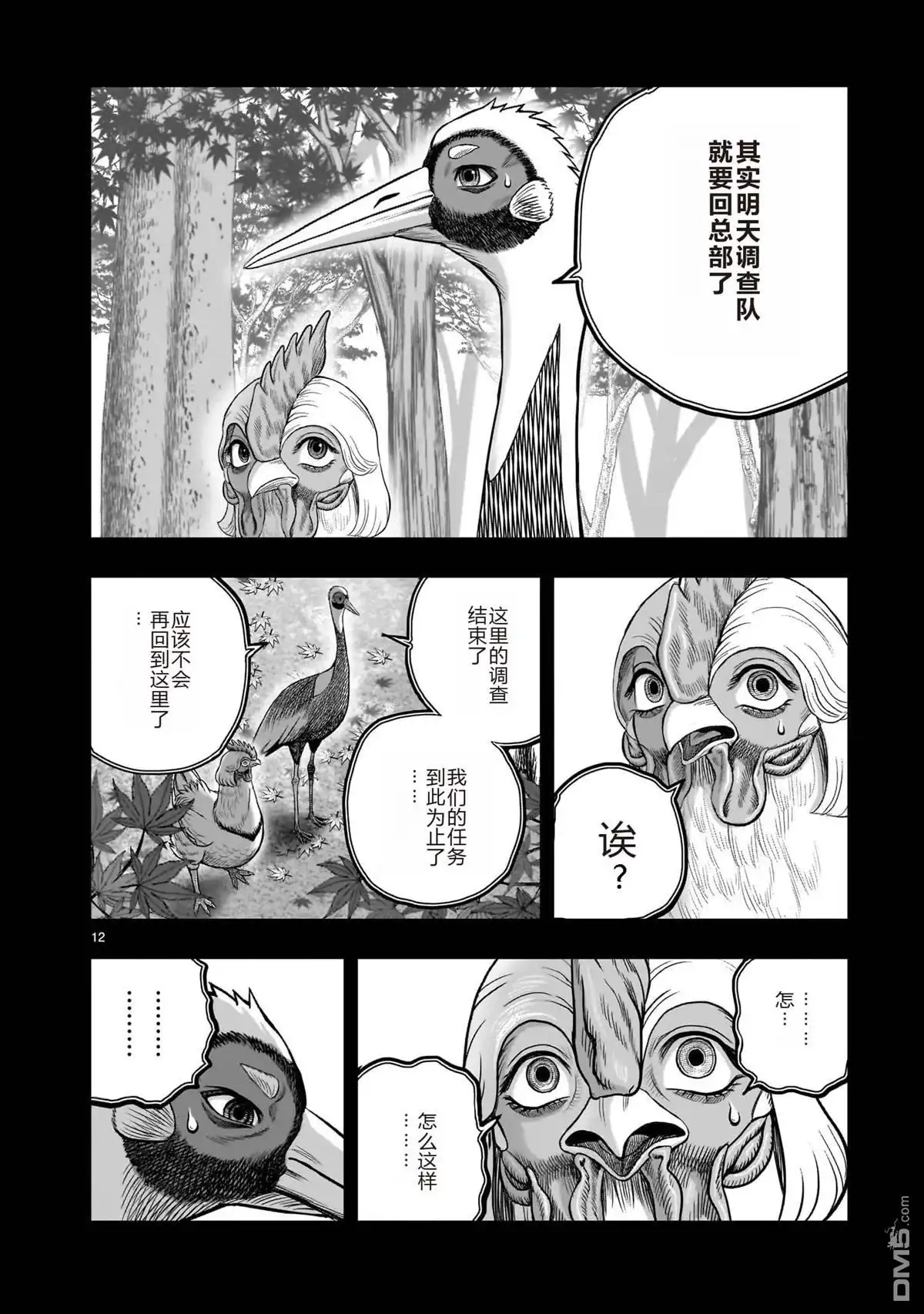 第12页