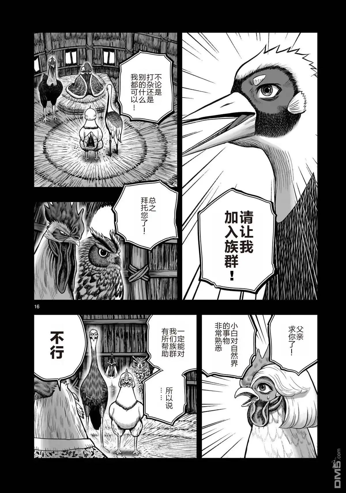 第16页