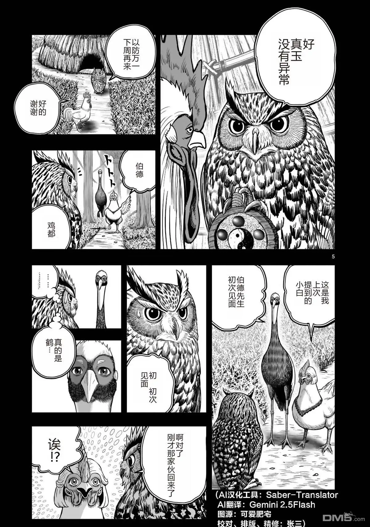 第5页
