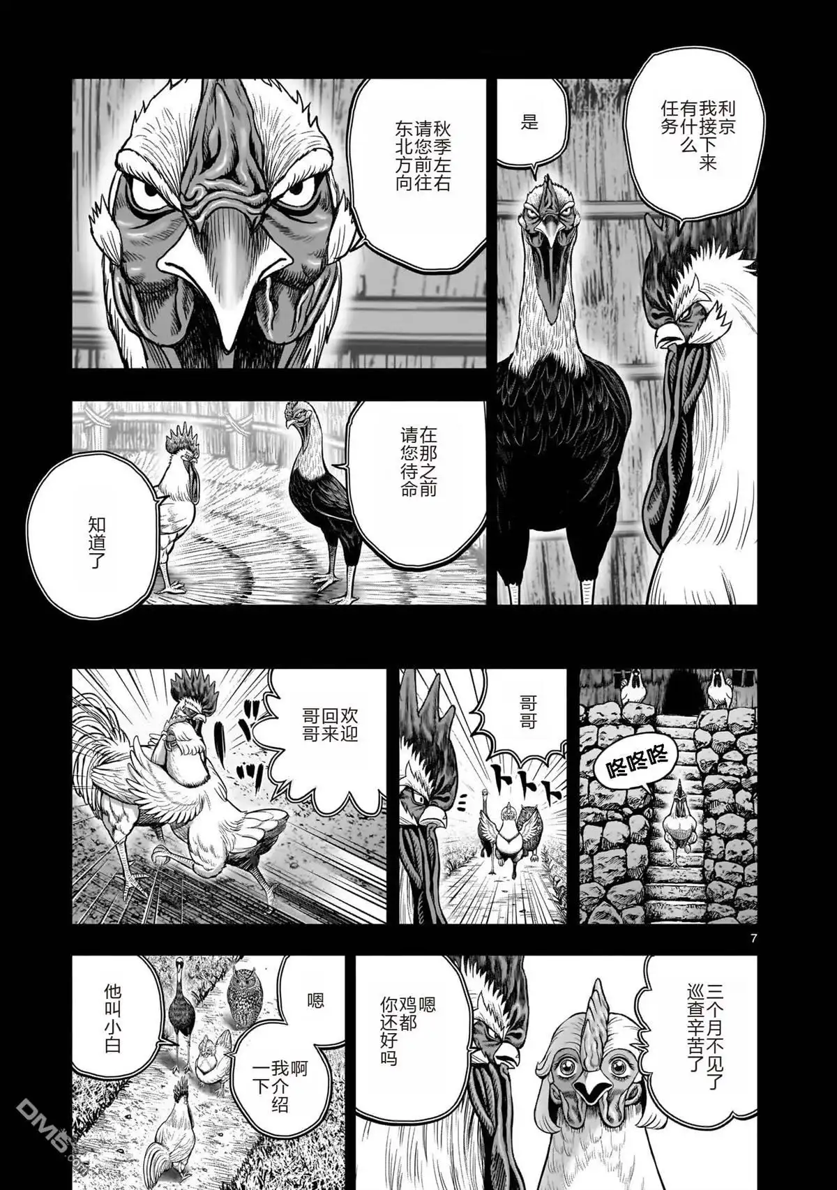 第7页