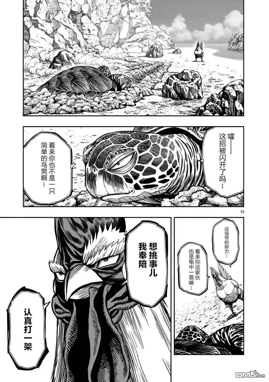 第13页
