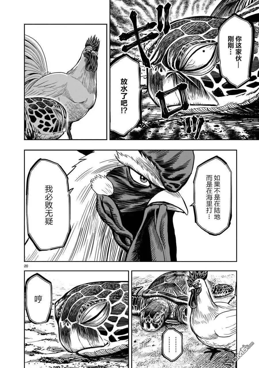 第20页