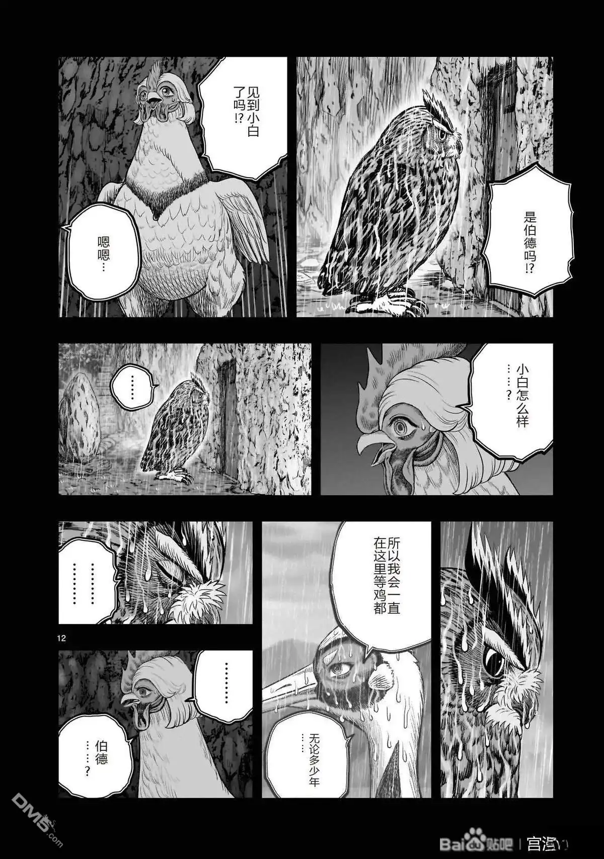 第12页