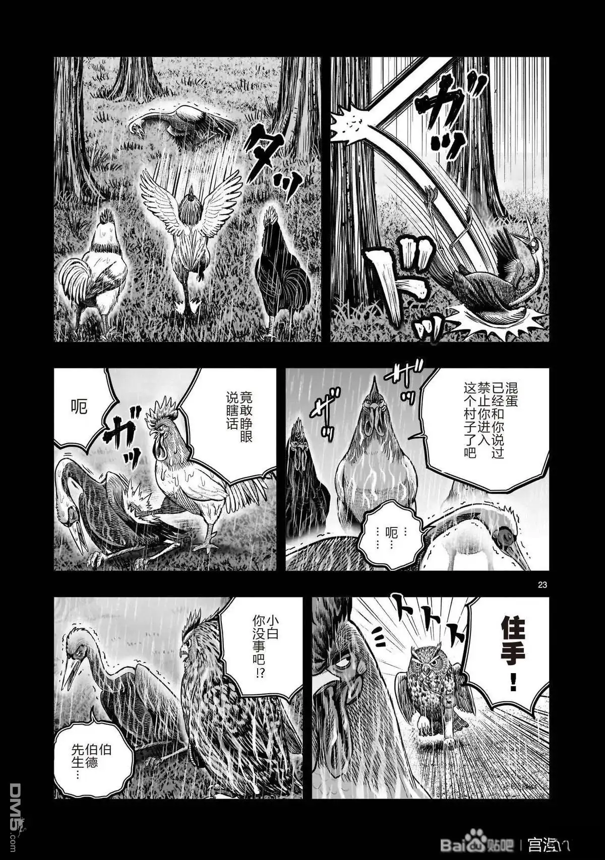 第23页