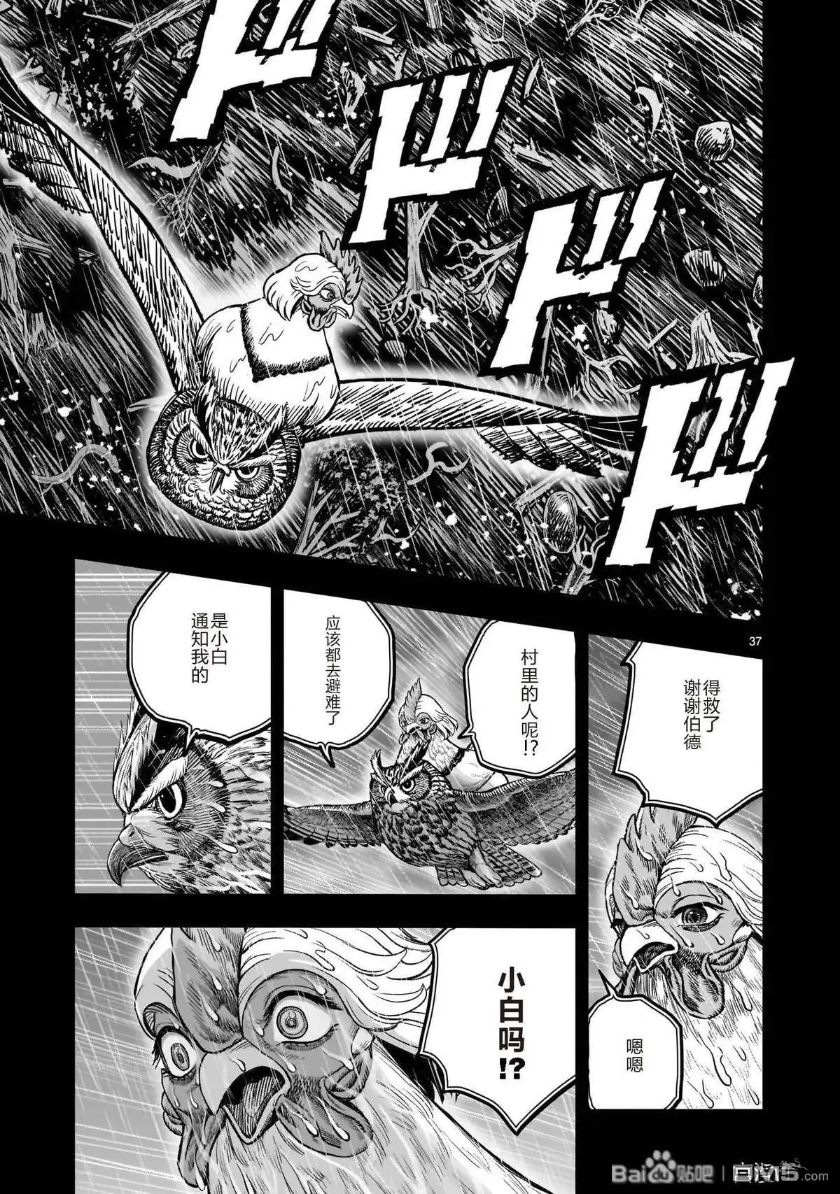 第37页