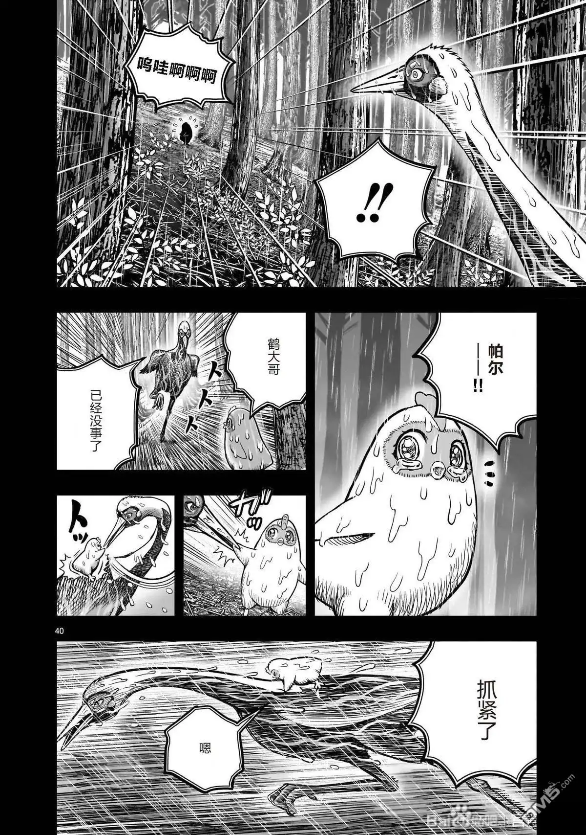 第40页