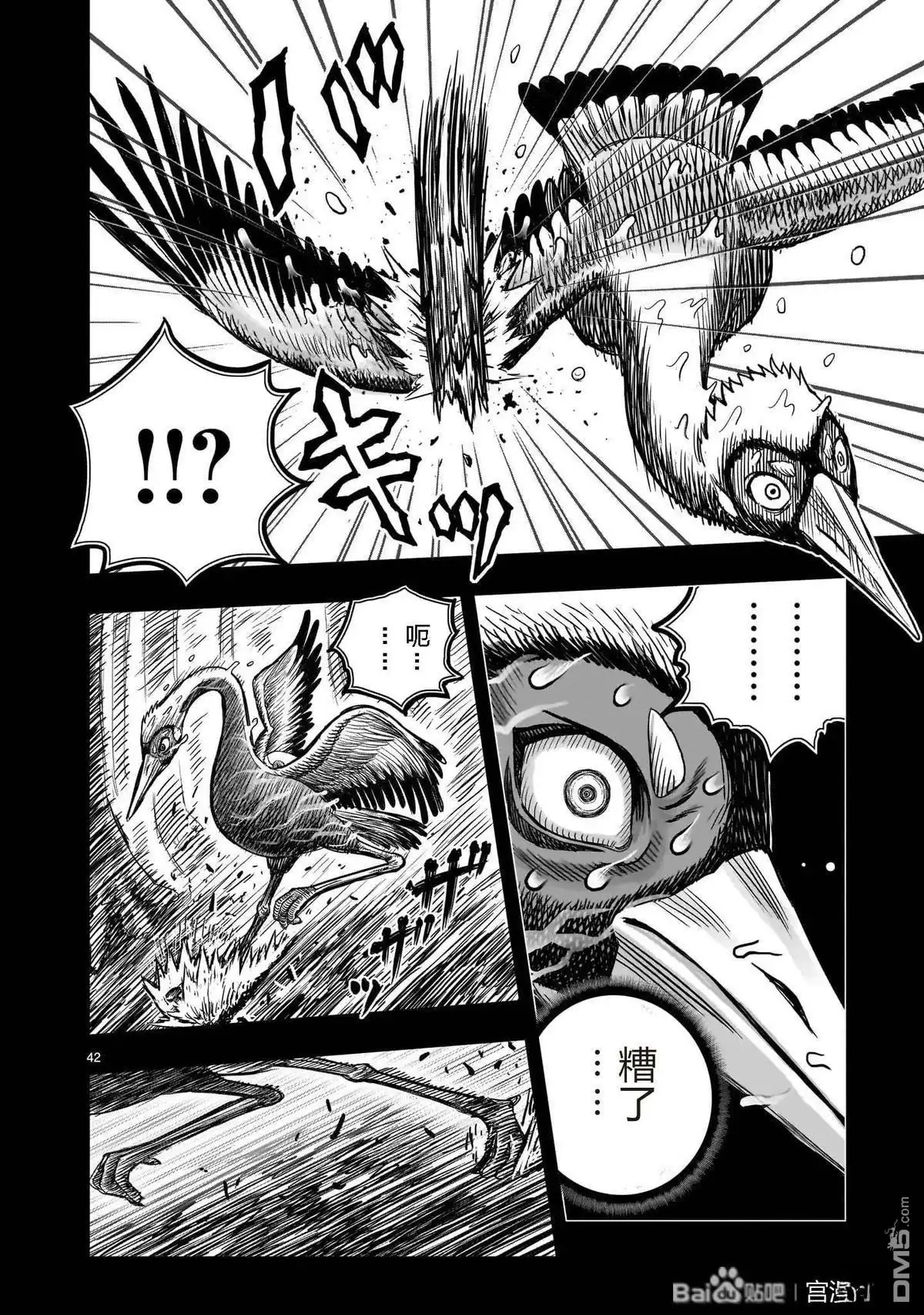 第42页