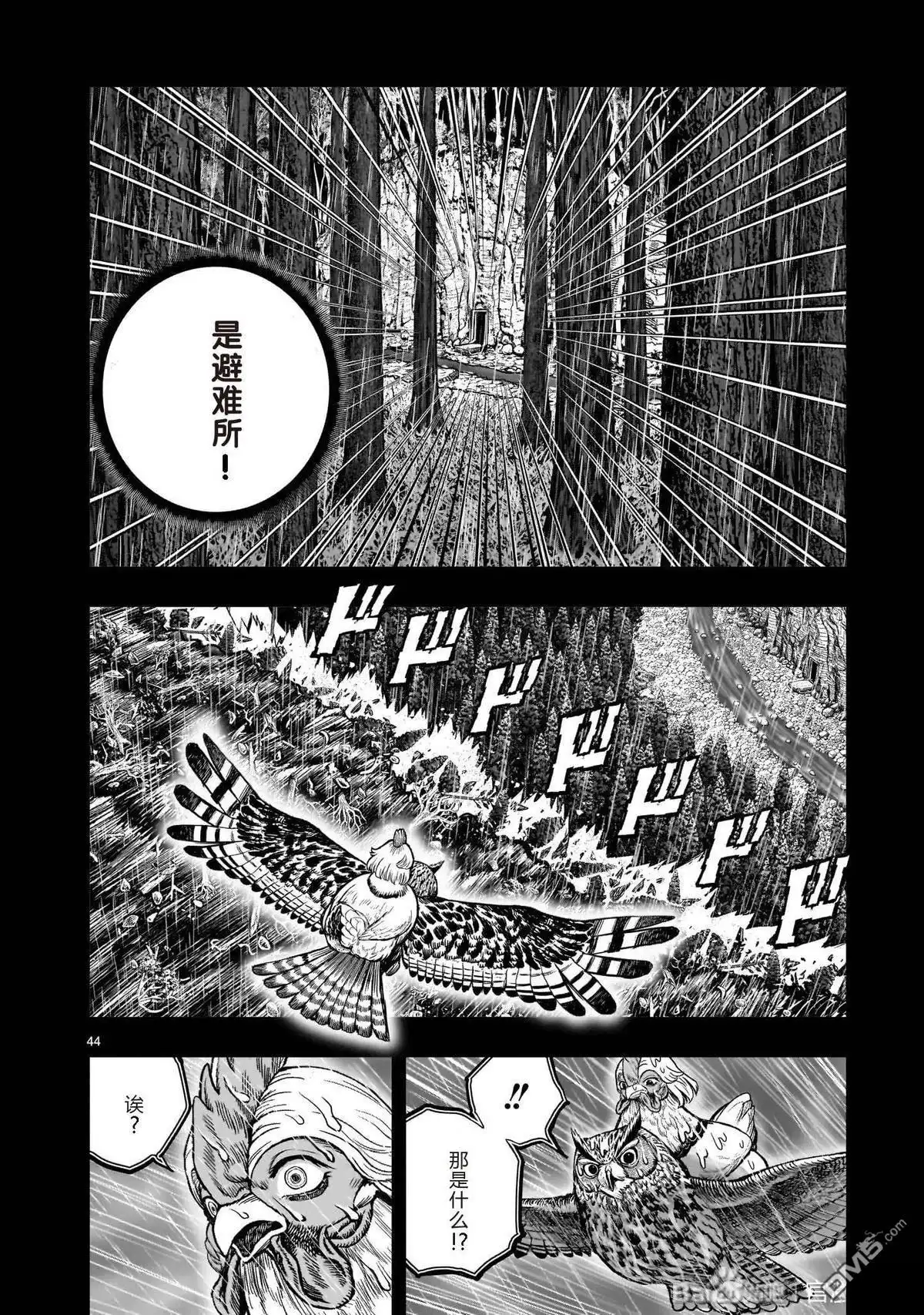 第44页