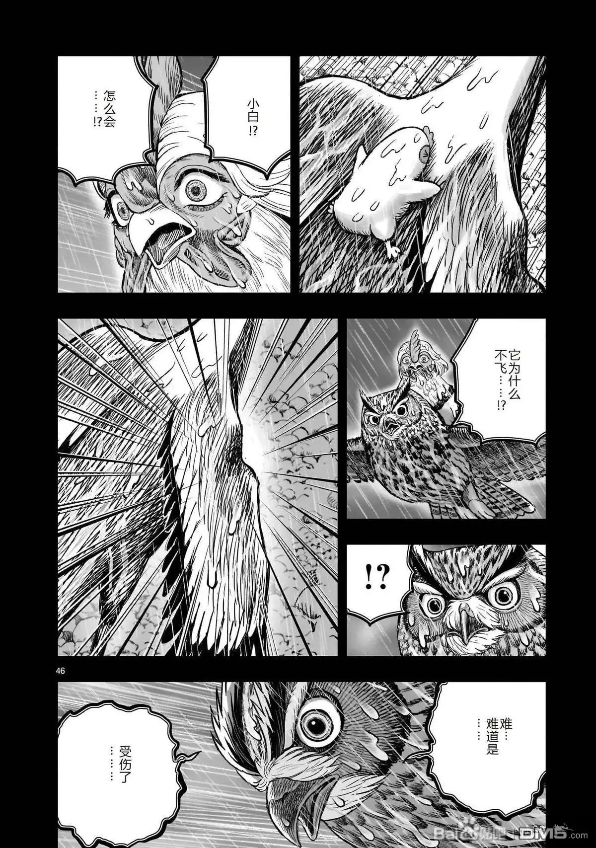 第46页