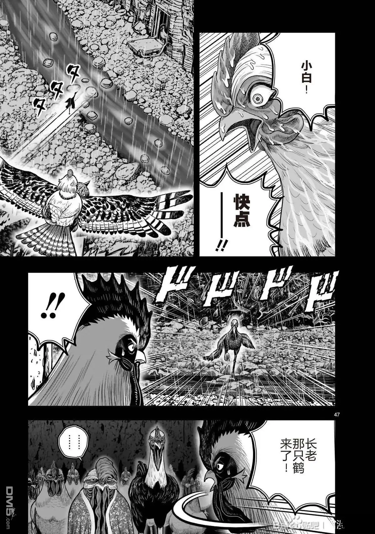 第47页