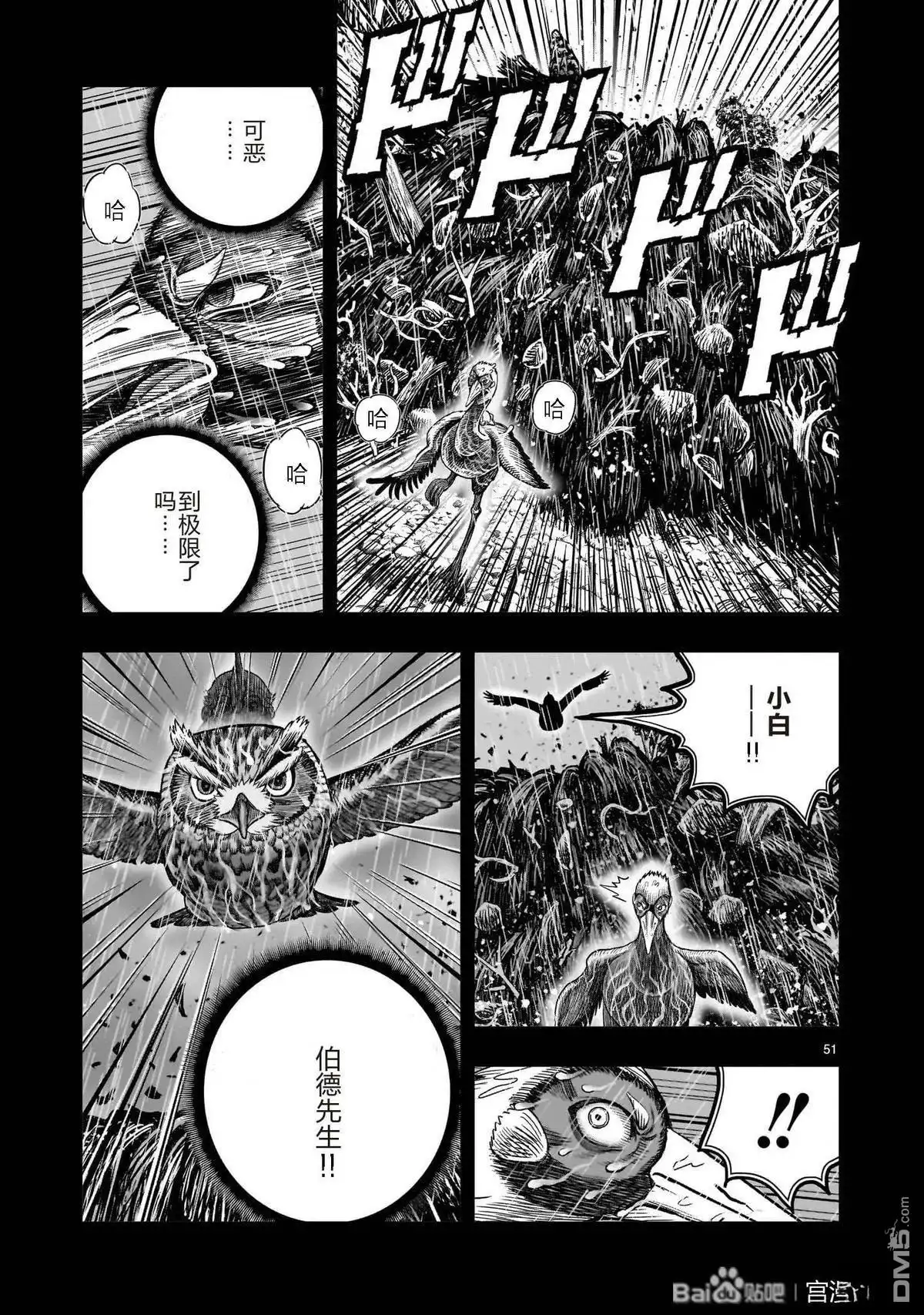 第51页